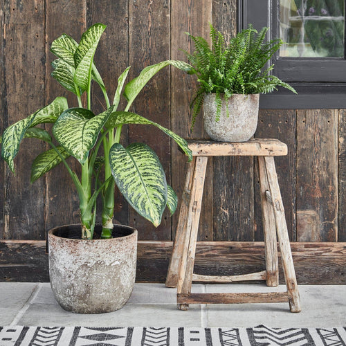 Albero Ceramic Indoor Planter