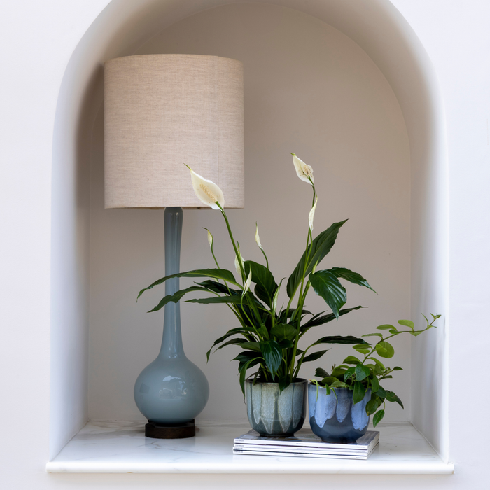 The Calm Corner Set
