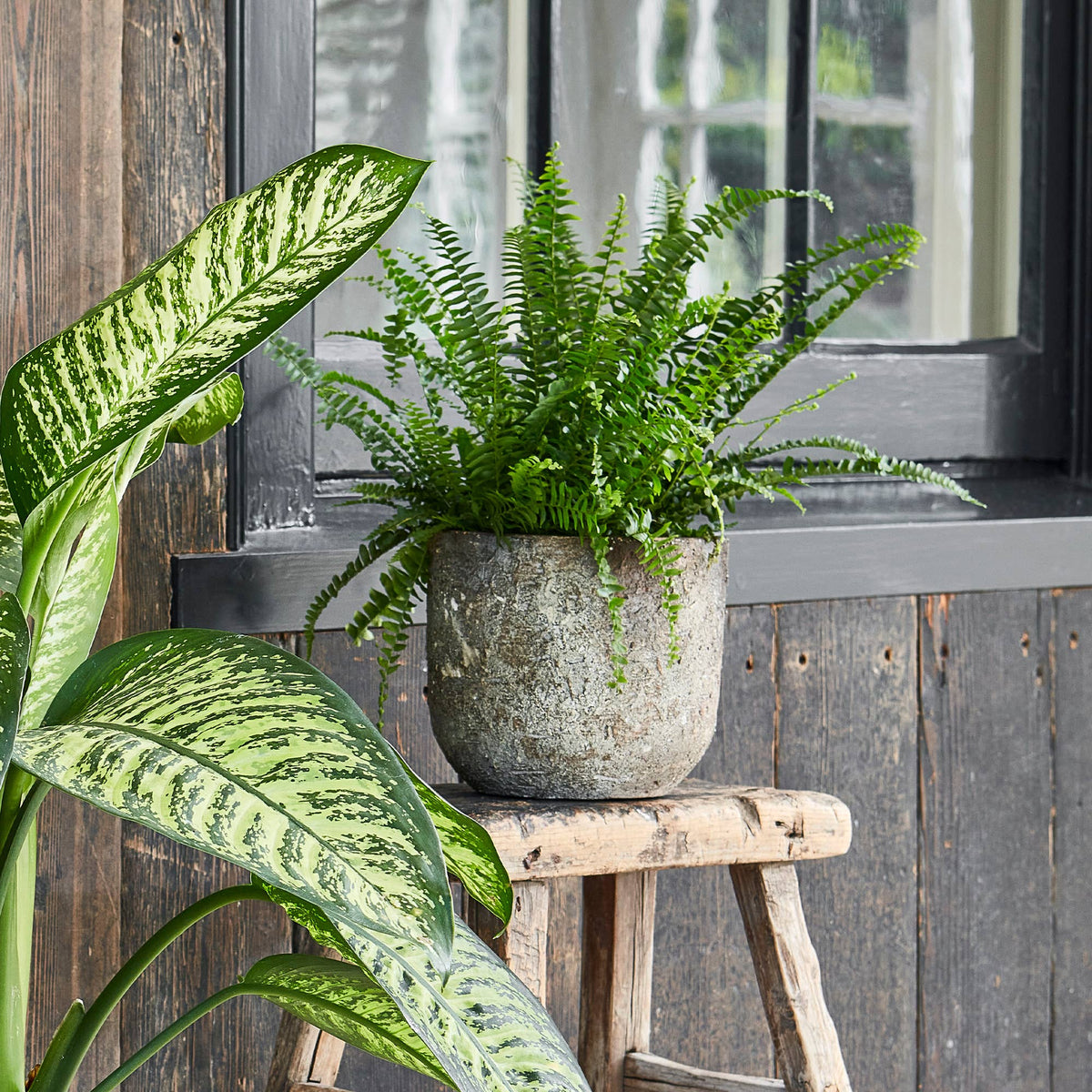 An indoor planter