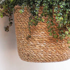 Odda Hanging Seagrass-Lined Planter