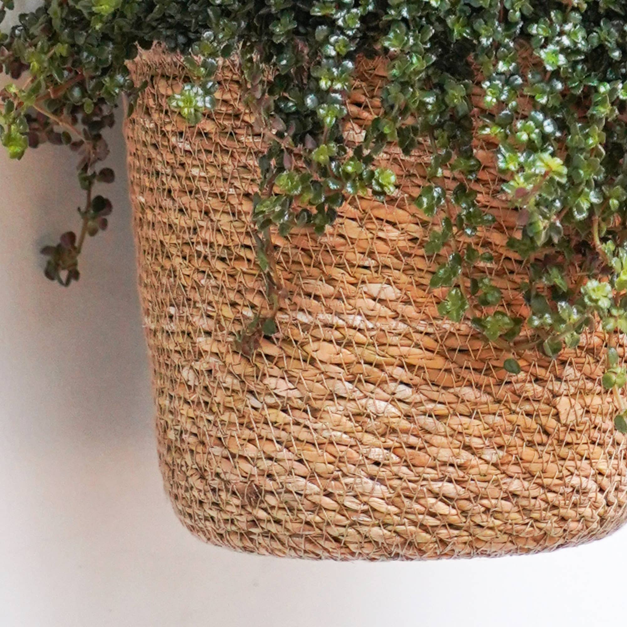 Odda Hanging Seagrass-Lined Planter