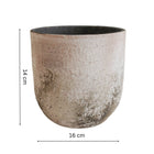 Albero Ceramic Indoor Planter