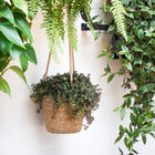 Odda Hanging Seagrass-Lined Planter